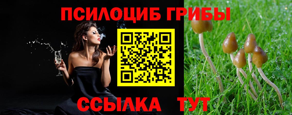 Ижевск  Псилоцибиновые грибы Cubensis  Вход с VPN 